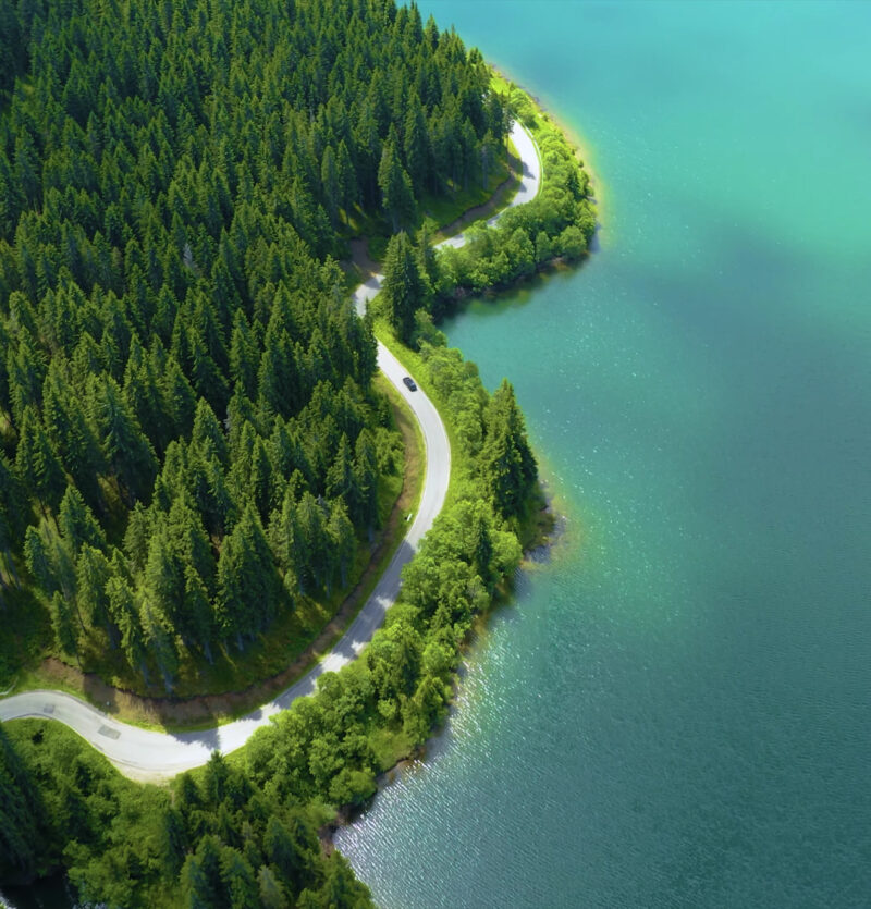 Aerial view of a winding road surrounded by the ocean and the pine tree forest
